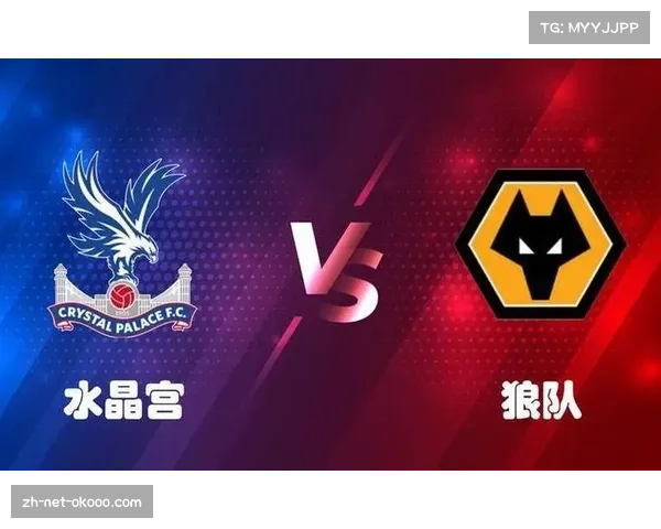 英超各队推进速度分化 水晶宫2.02米-秒最快狼队1.46垫底